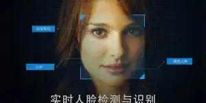 某公安局刑侦大队:实时人脸检测与识别